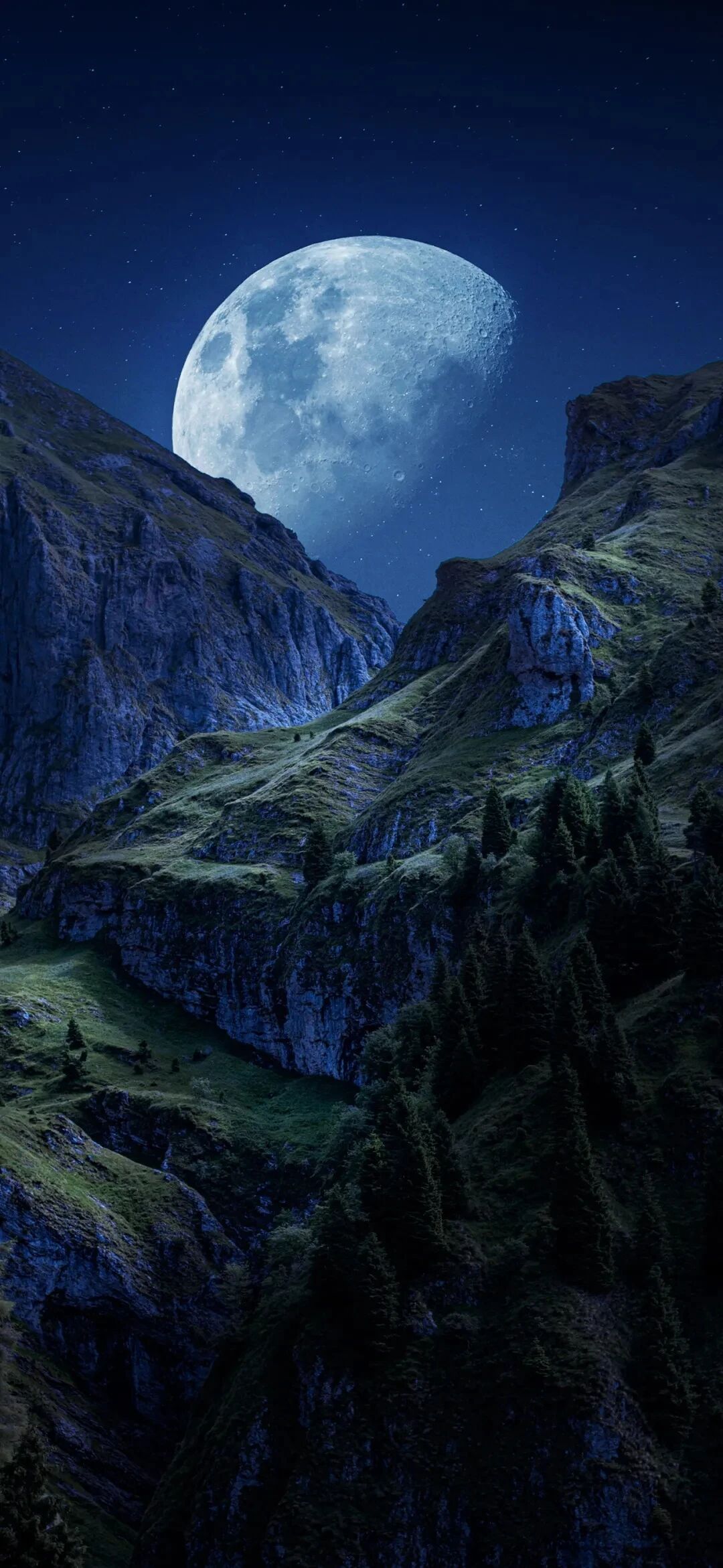 风景