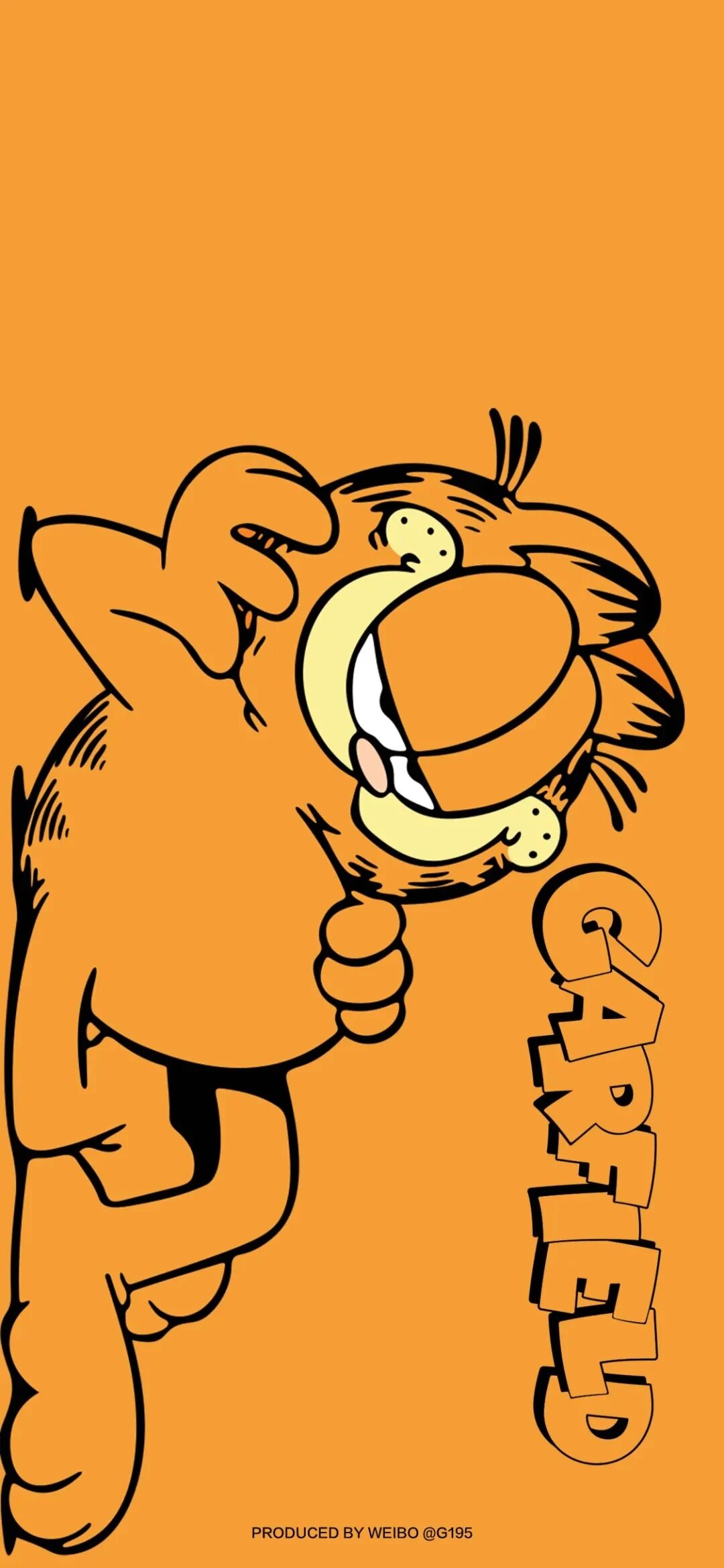 可爱加菲猫卡通壁纸