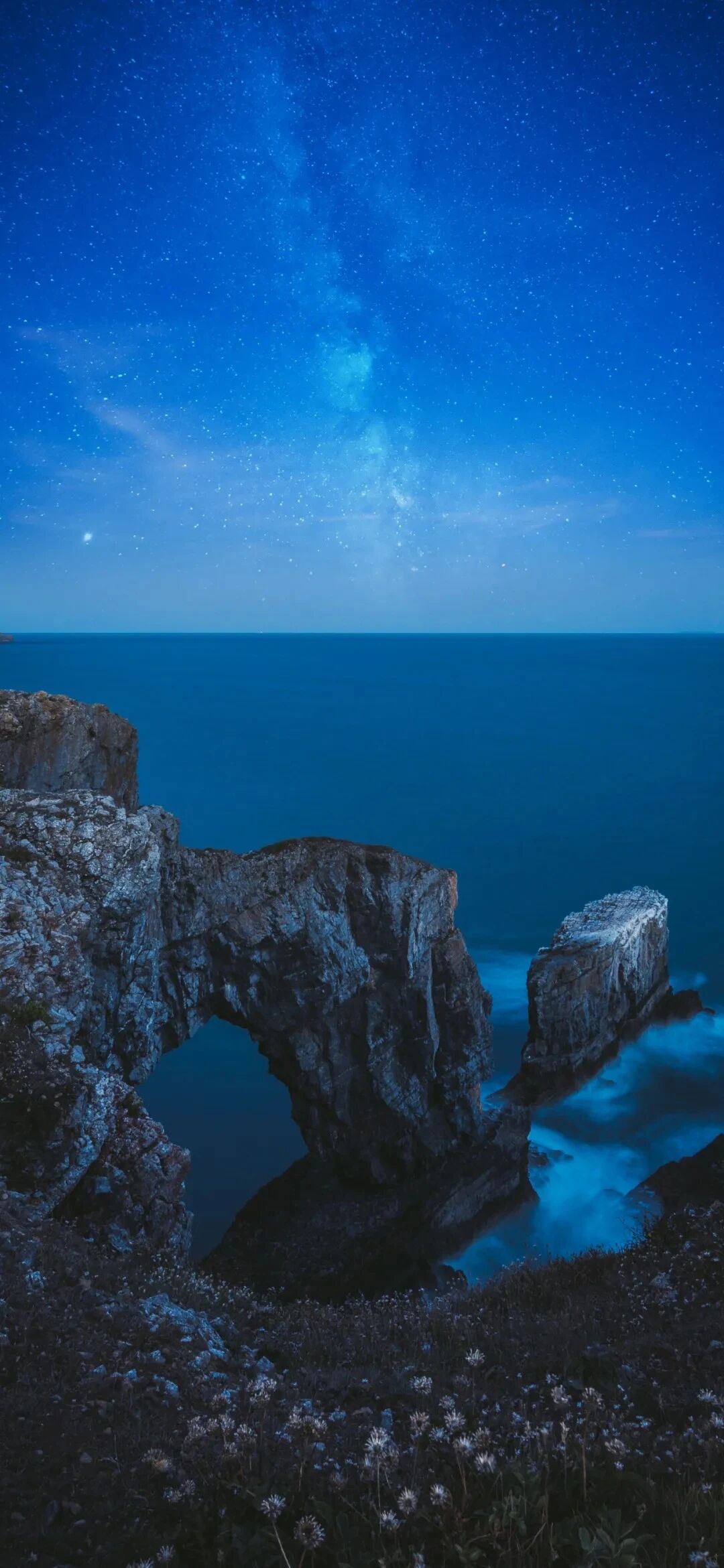 风景
