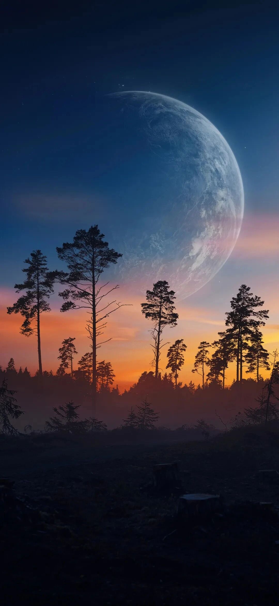 风景