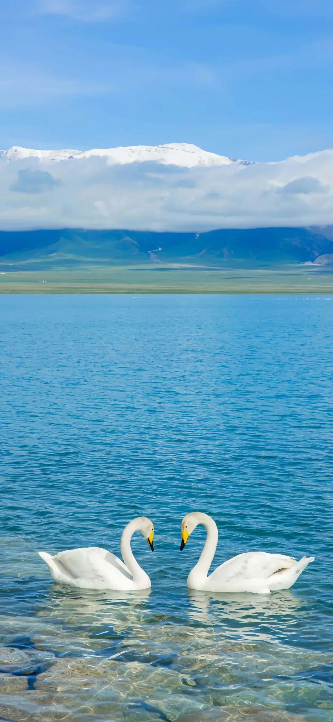 风景