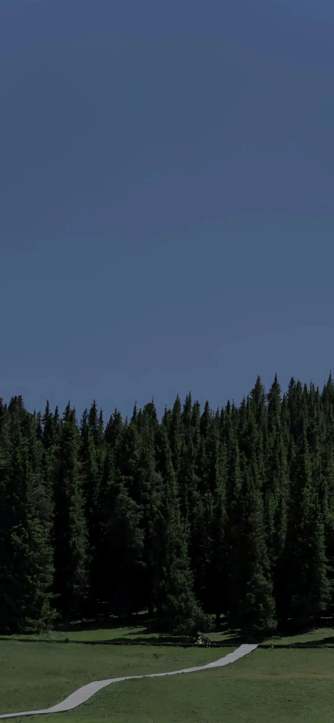 风景
