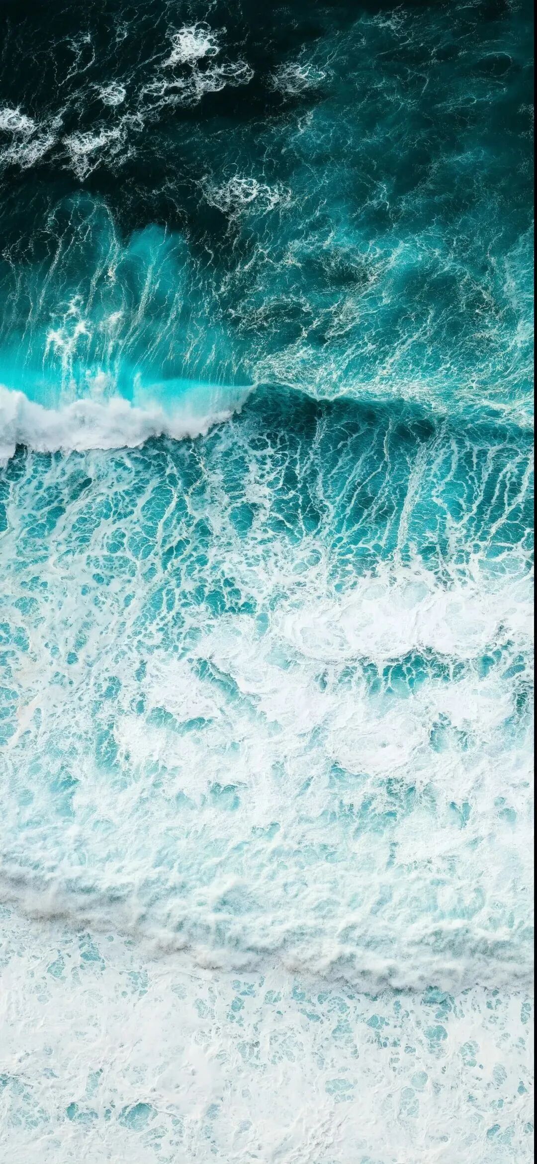 风景