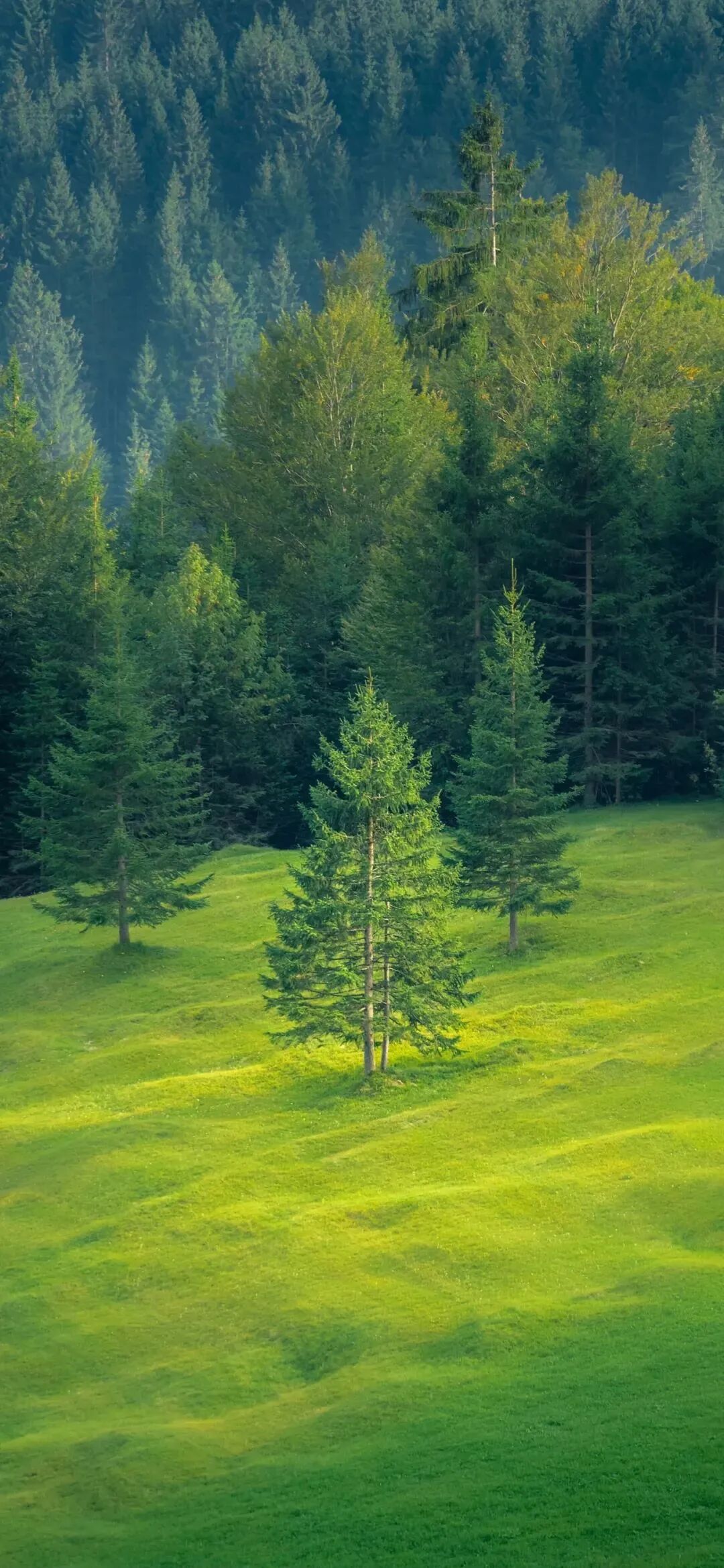 风景