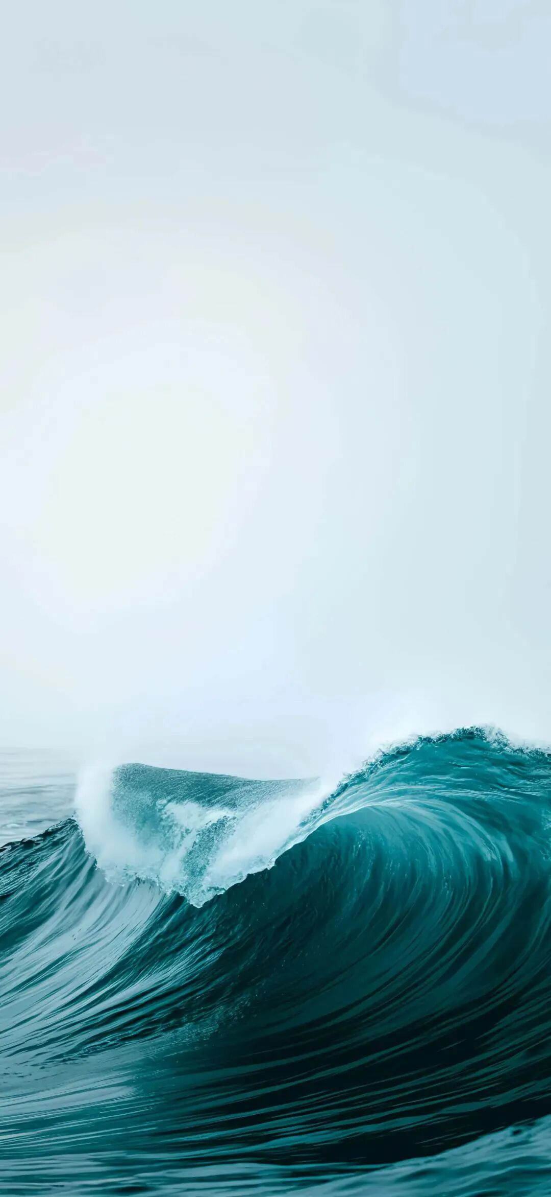 风景