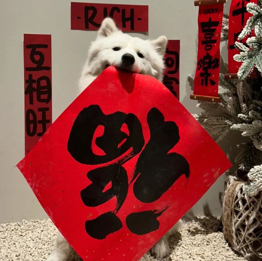 新年狗狗萌宠头像
