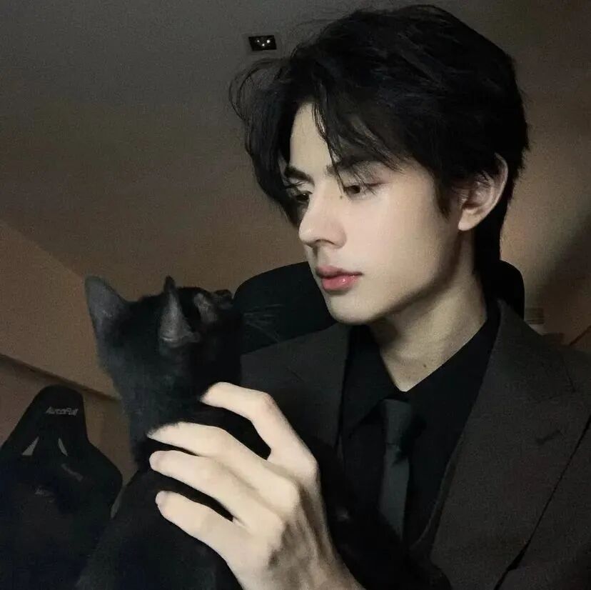 抱着猫咪冷酷侧脸男生头像