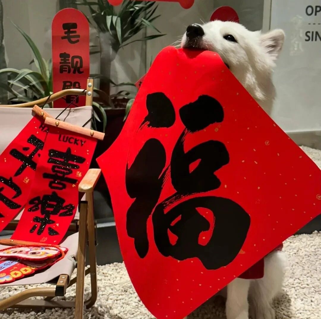 新年狗狗萌宠头像