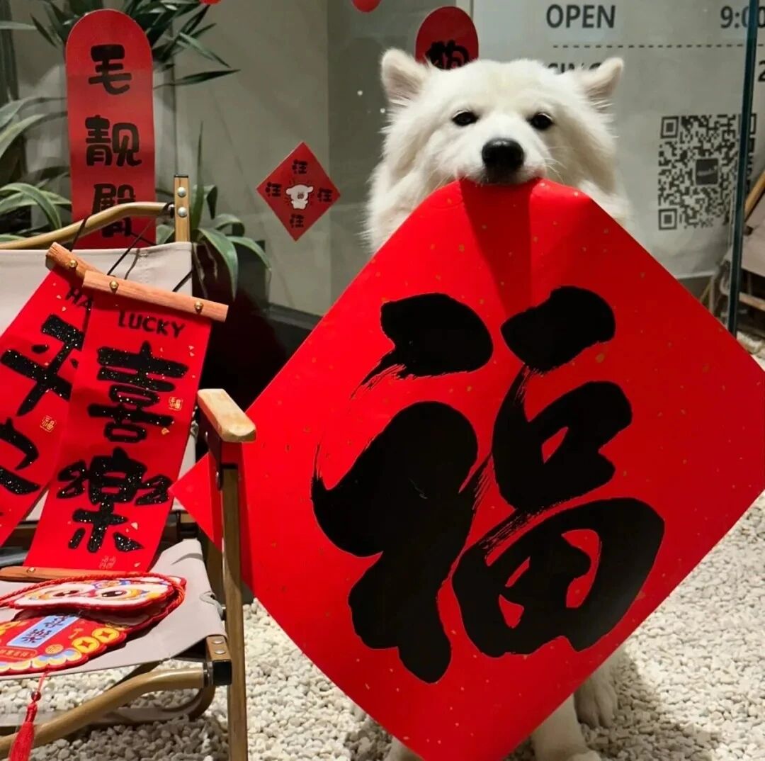 新年狗狗萌宠头像
