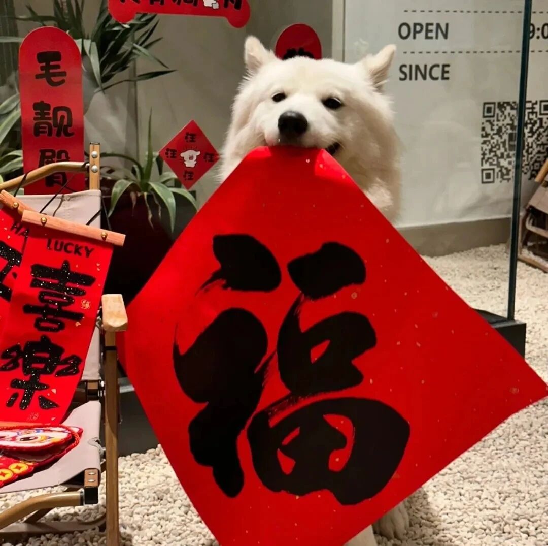 新年狗狗萌宠头像