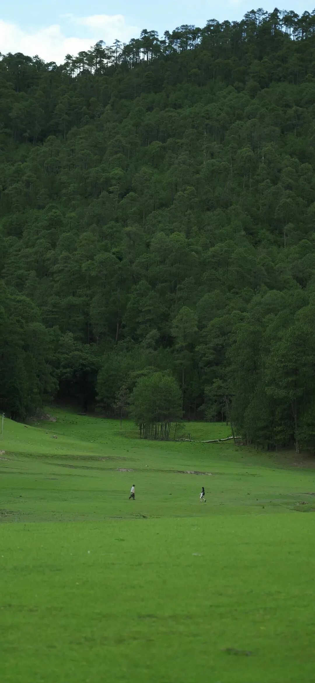 风景
