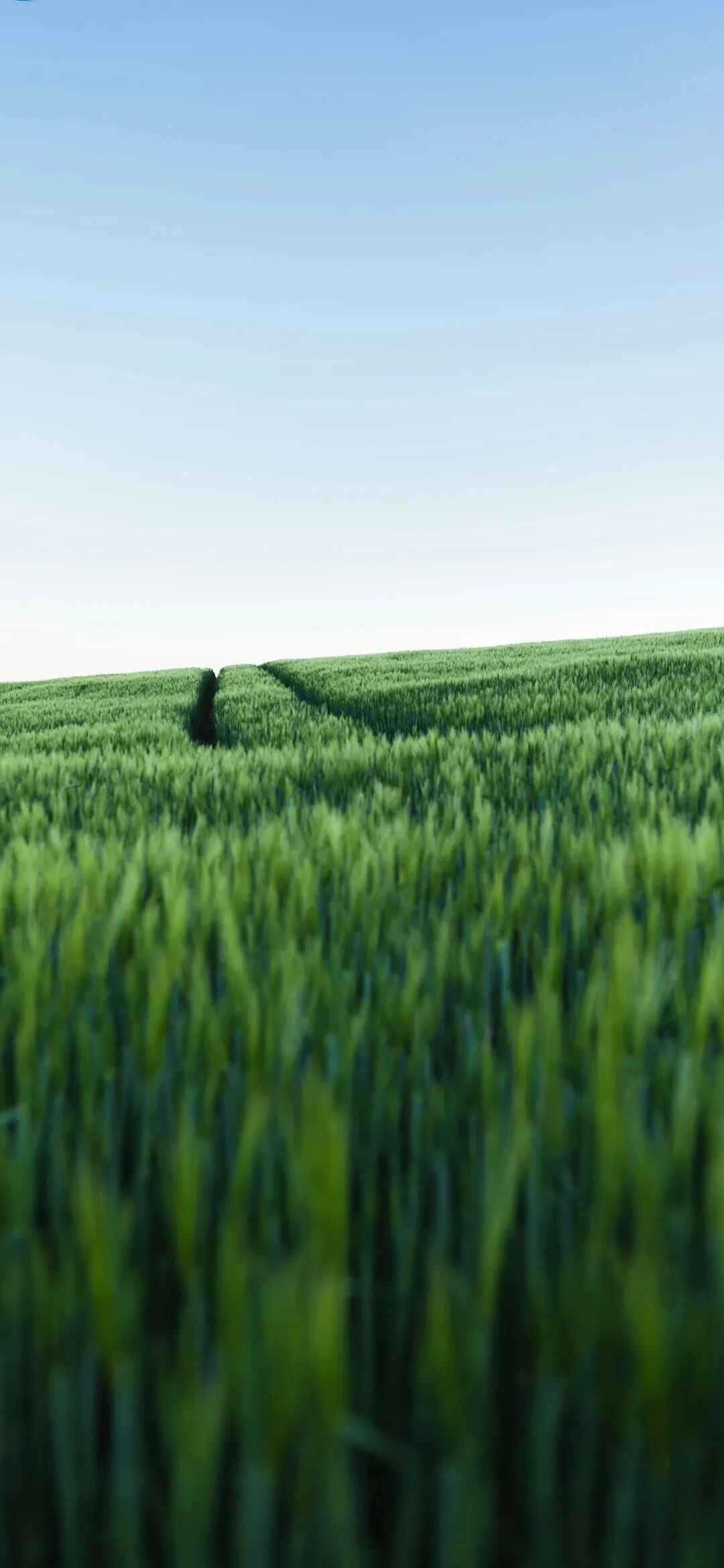 风景