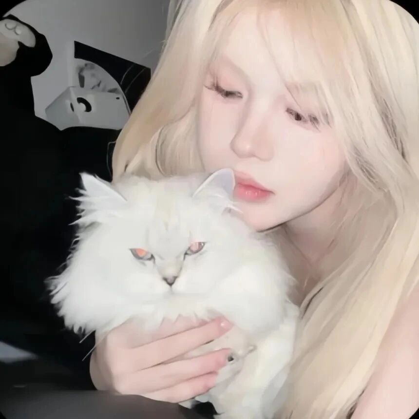 抱着猫咪小众女生头像
