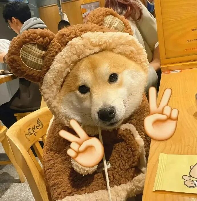 剪刀手柴犬狗狗萌宠头像