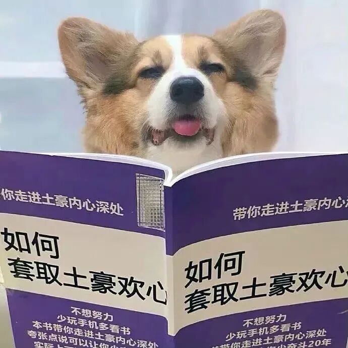 kanshufupotupaituo沙雕搞怪看书富婆土豪狗狗情侣头像