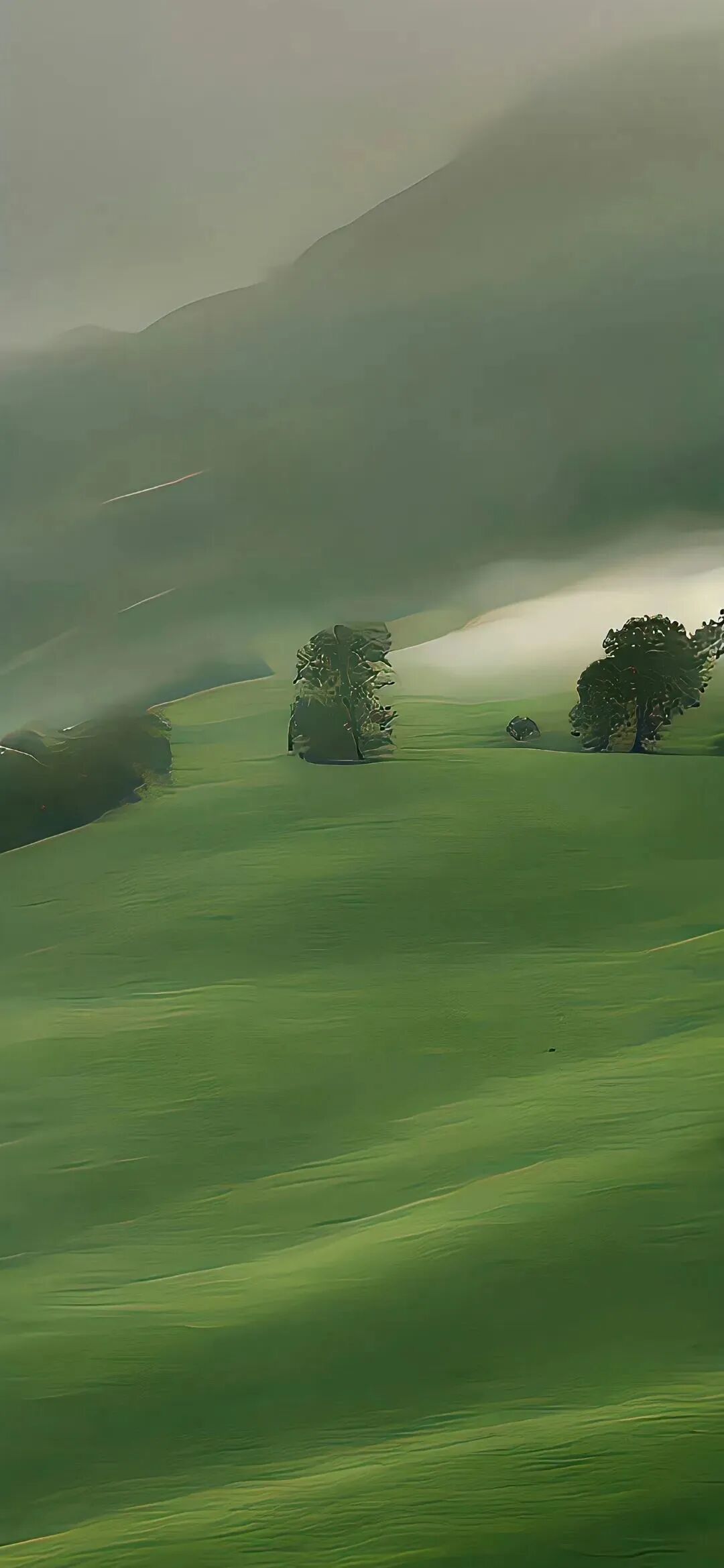风景