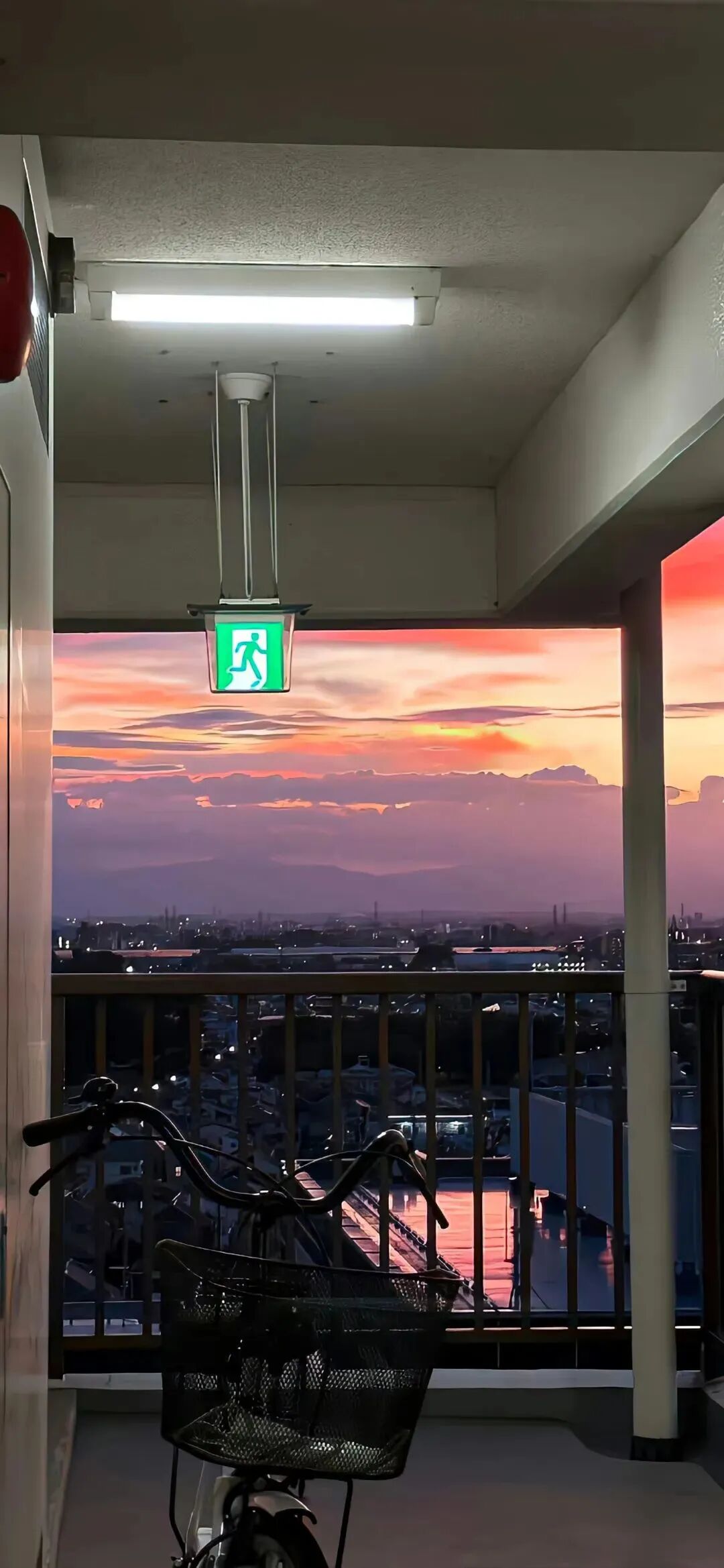 风景
