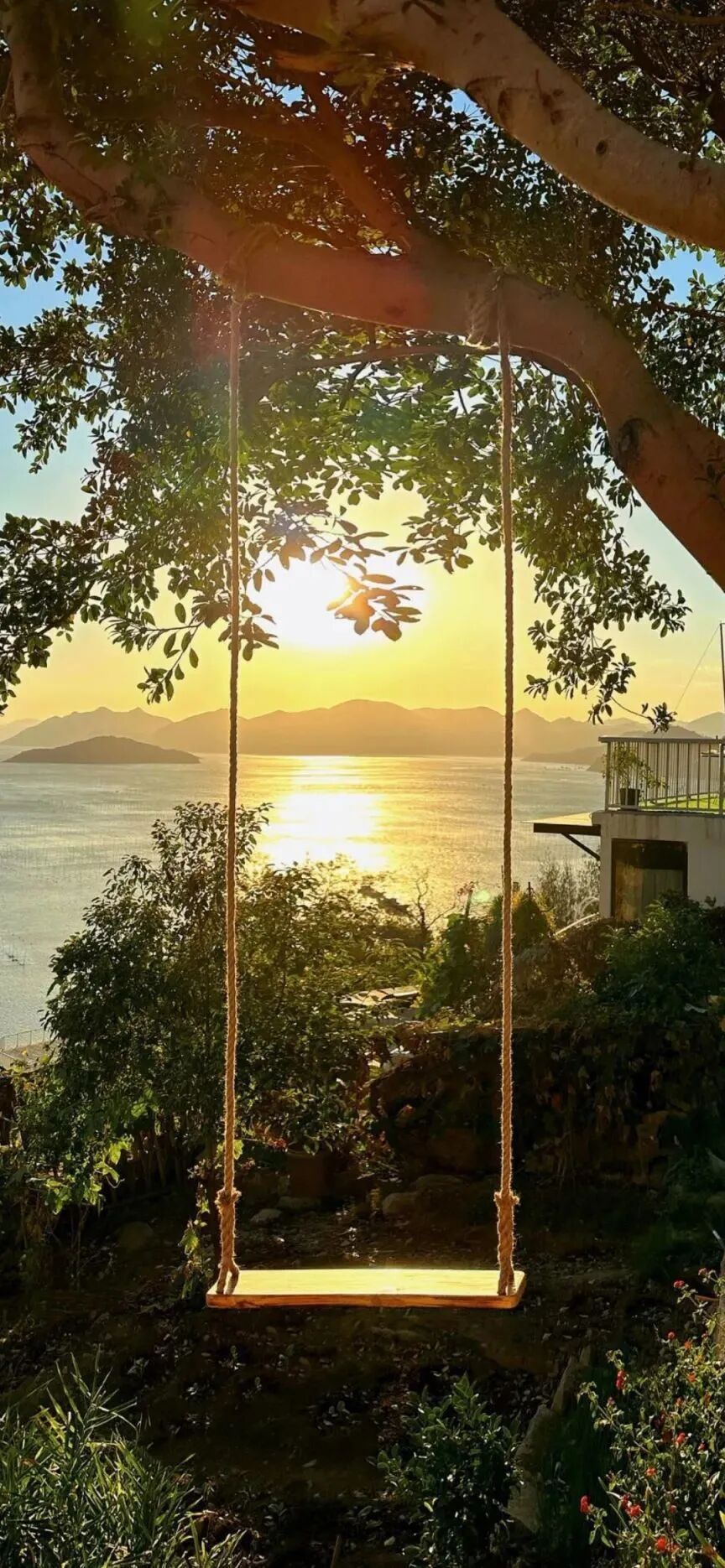 风景