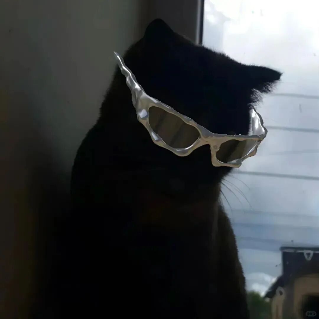 冷酷墨镜猫咪萌宠头像