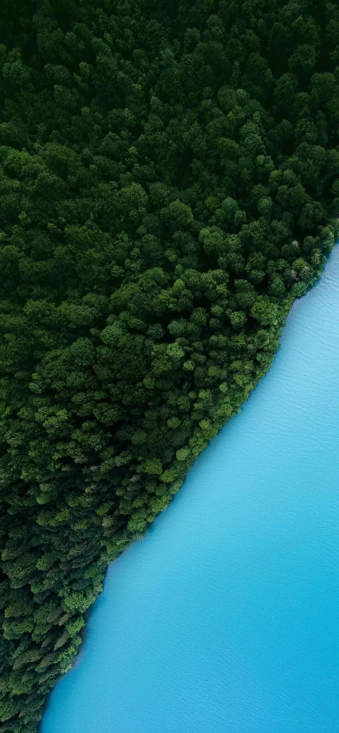 风景