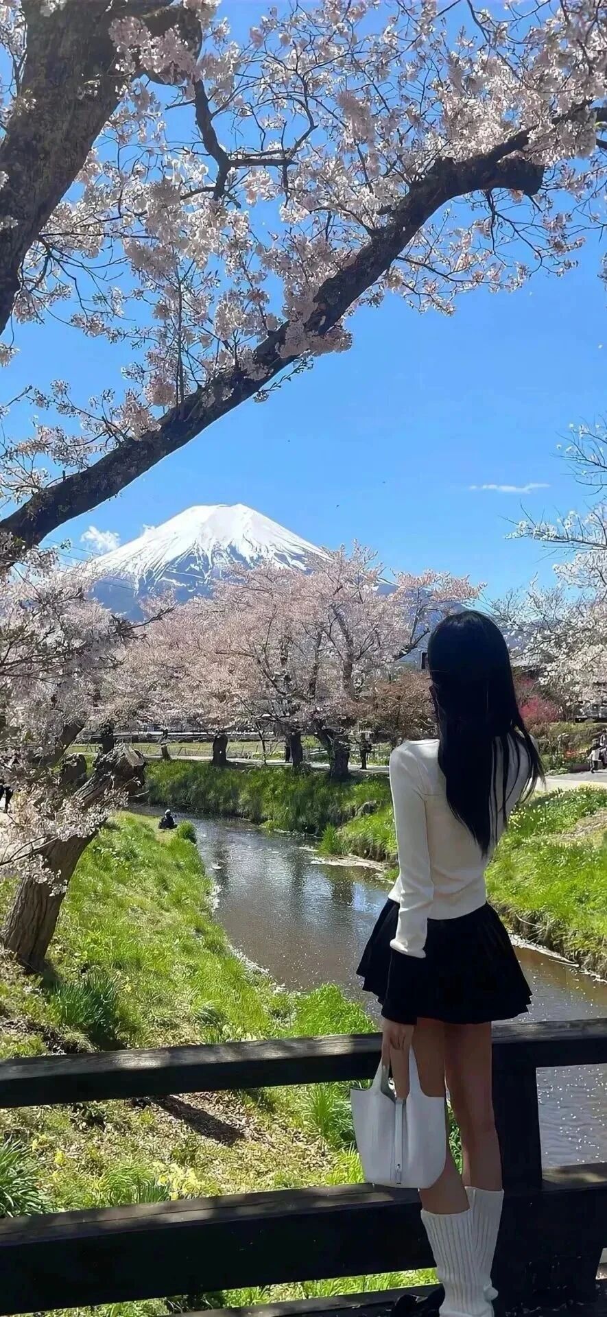 抖音热门