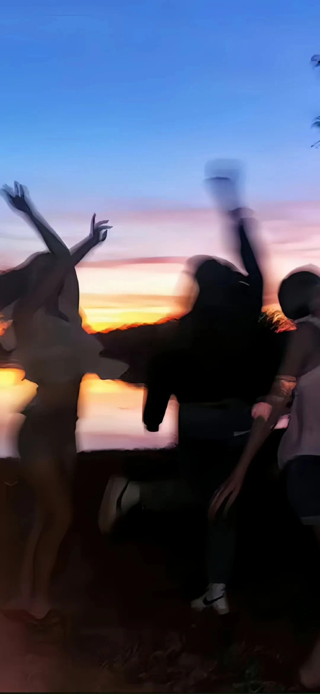 抖音热门
