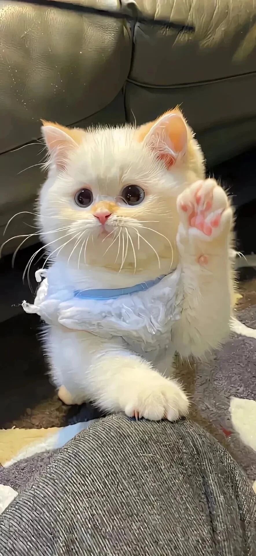 什锦