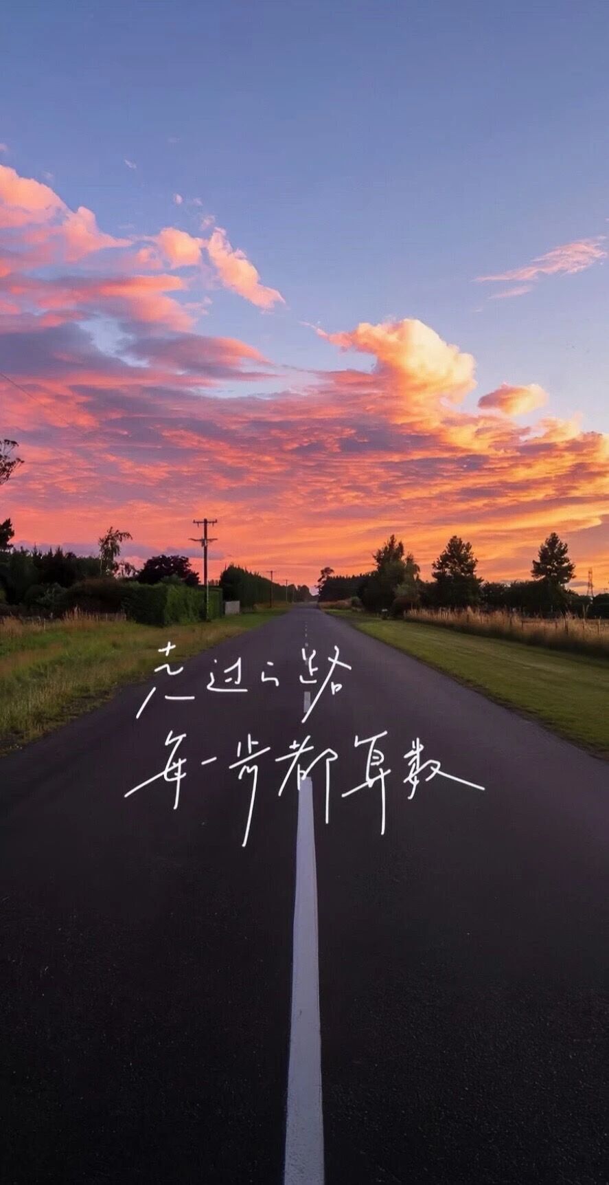 风景