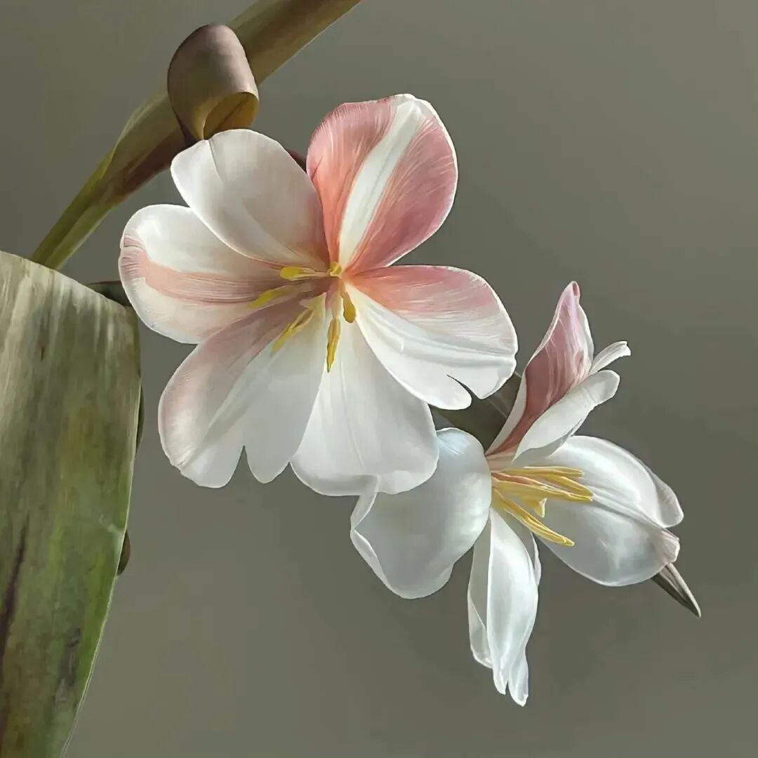 花朵朋友圈背景图