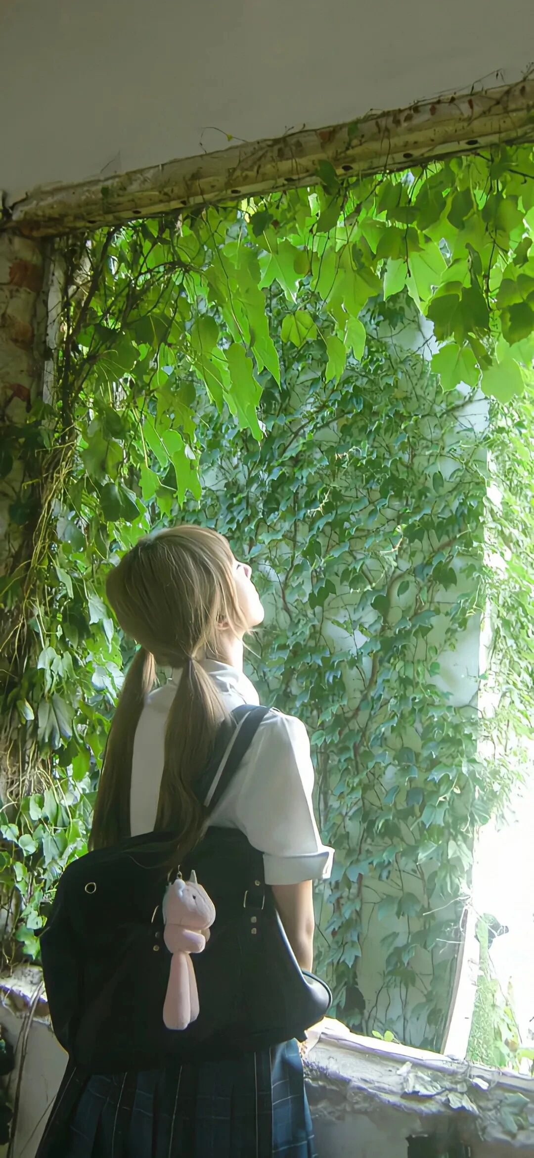 抖音热门