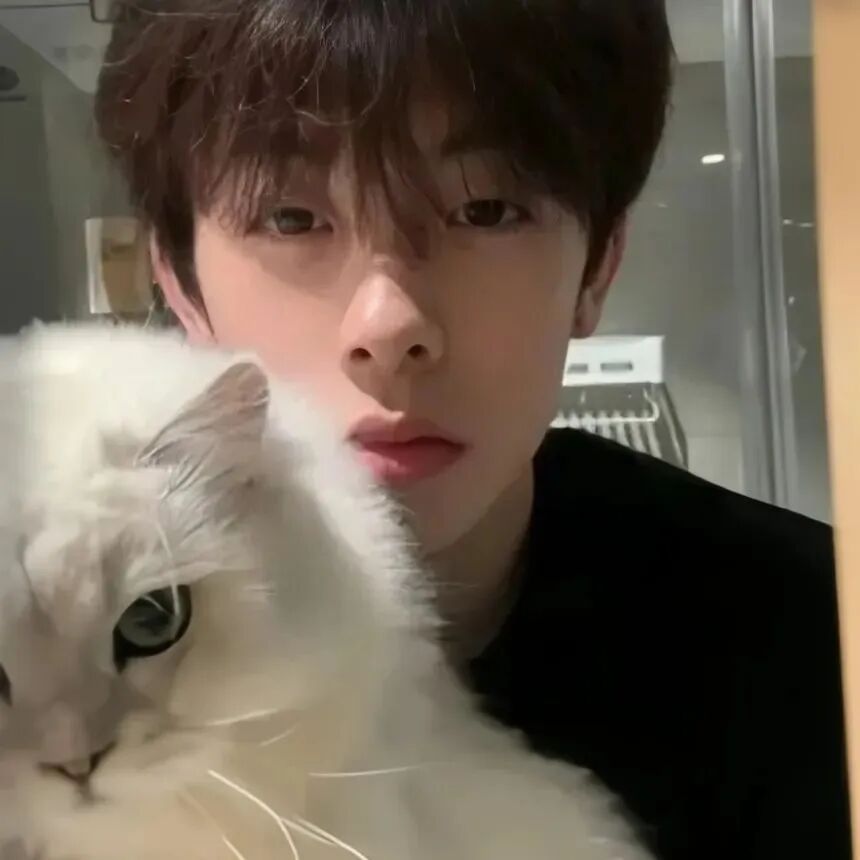 抱着猫咪小众男生头像