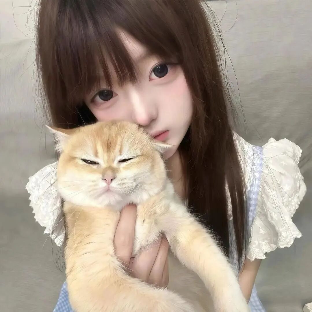 抱着猫咪少萝女生头像