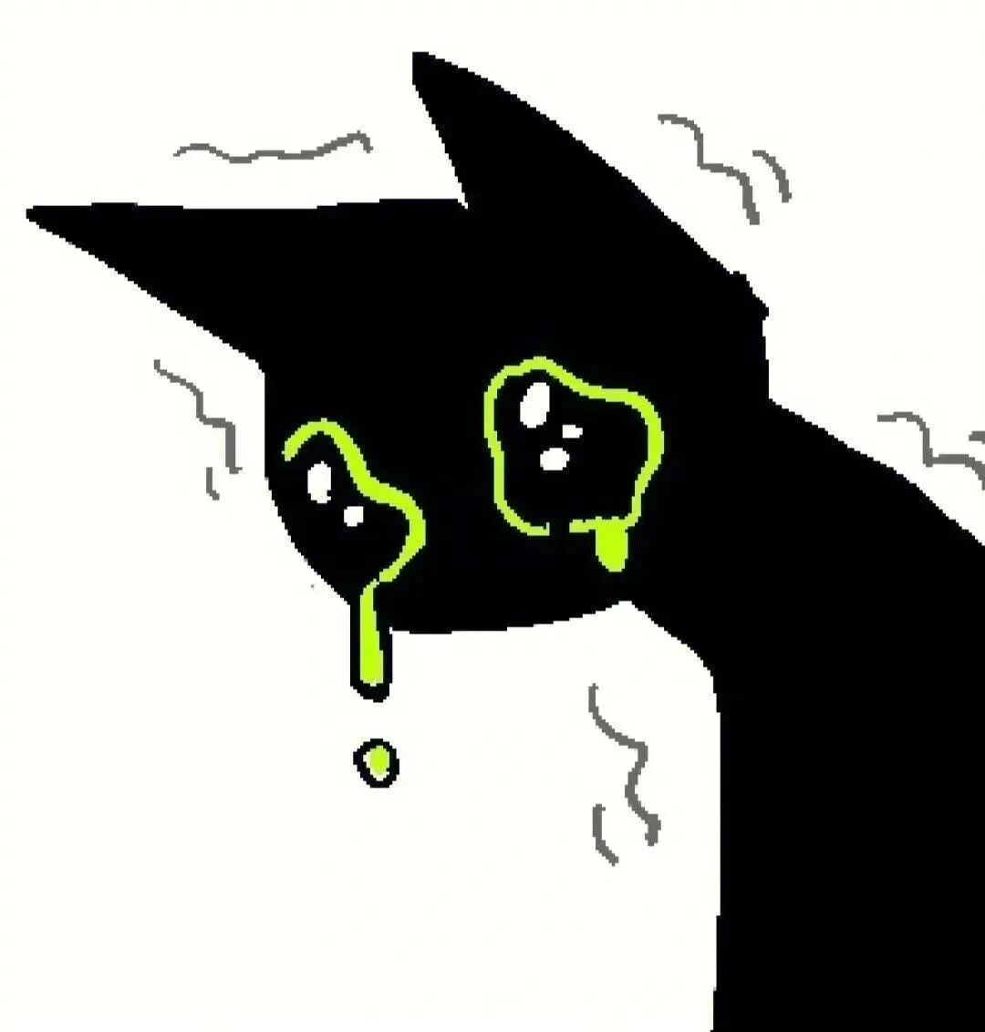 可爱猫咪卡通头像
