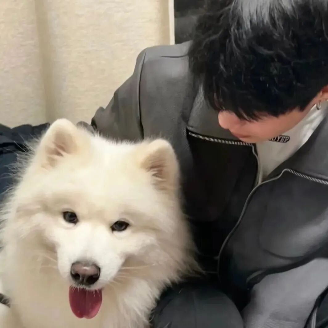 抱着狗狗小众男生头像
