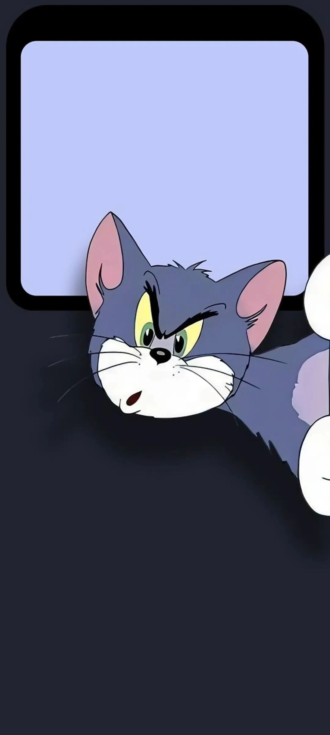 可爱猫和老鼠卡通情侣壁纸
