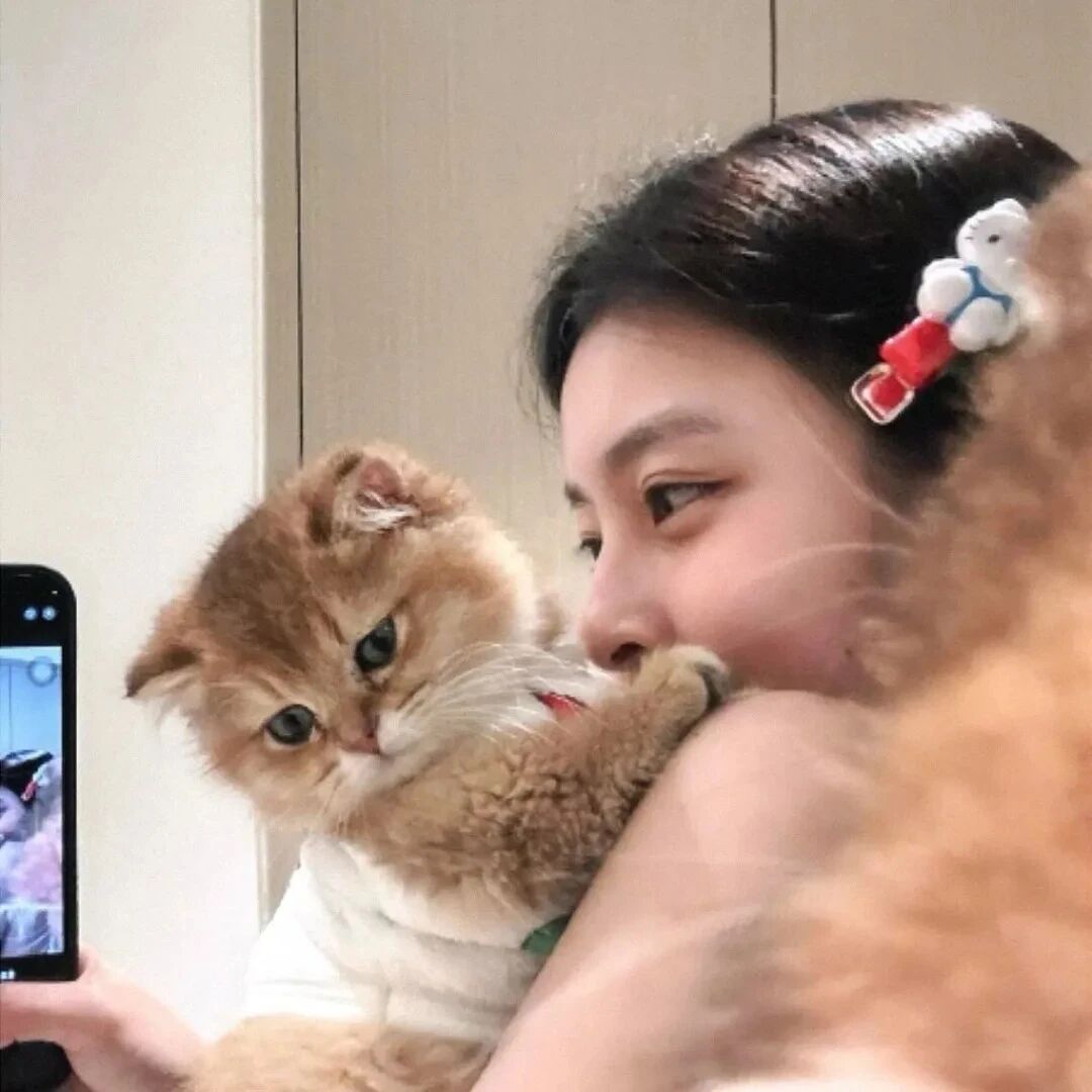 自拍手机抱着猫咪甜妹侧脸女生头像