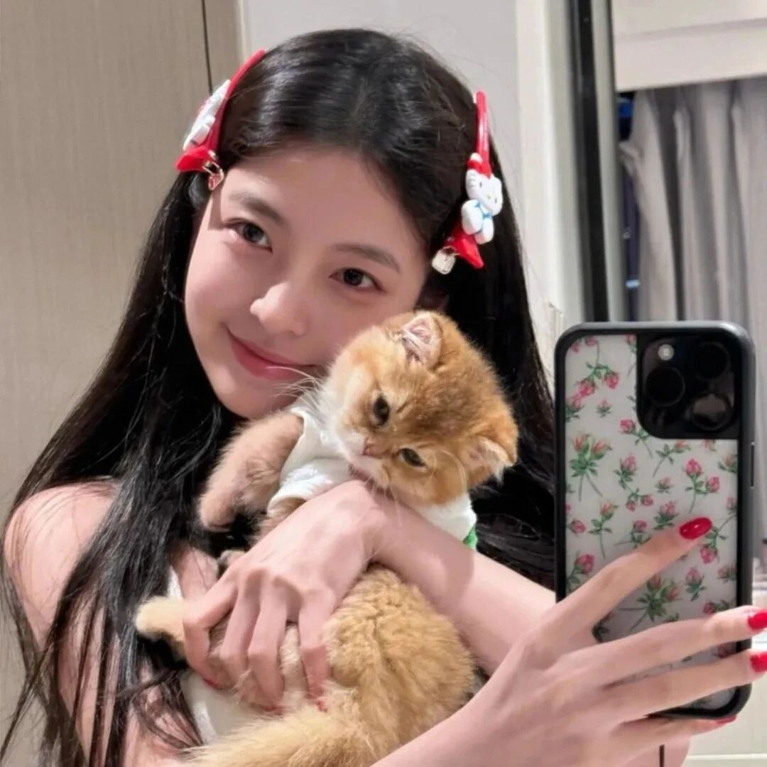自拍手机抱着猫咪甜妹女生头像