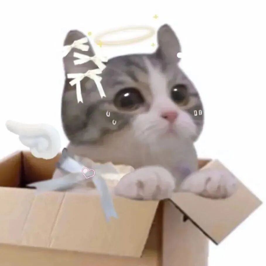 nkengaimaomiyaomei可爱猫咪萌宠情侣头像