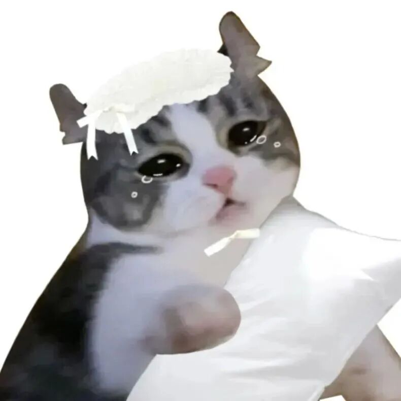 nkengaimaomiyaomei可爱猫咪萌宠情侣头像