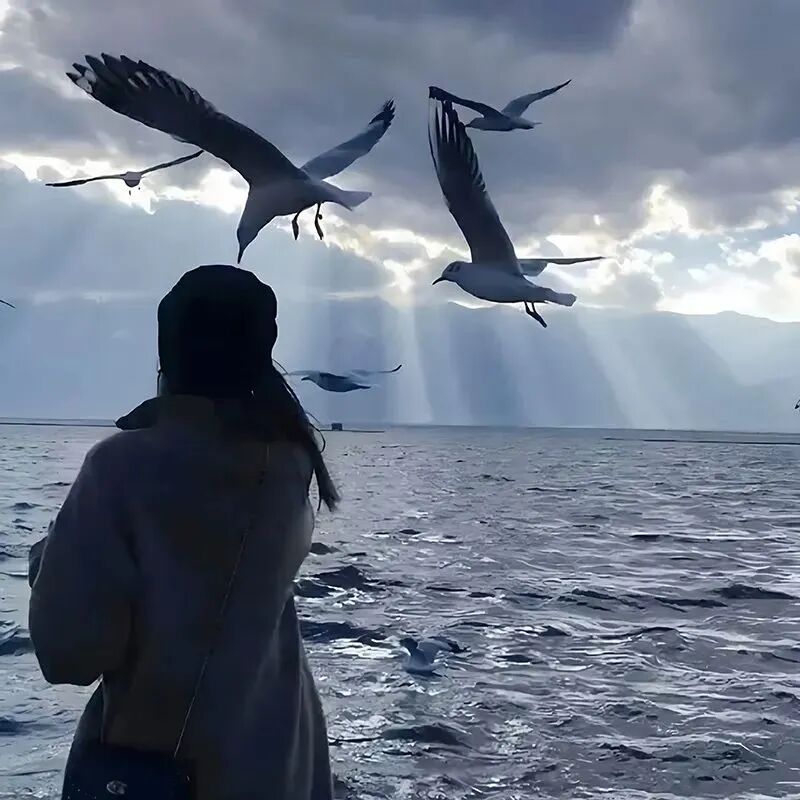 女生 女生头像 女头 氛围感 氛围感头像  海边 海边头像 不露脸 不露脸头像