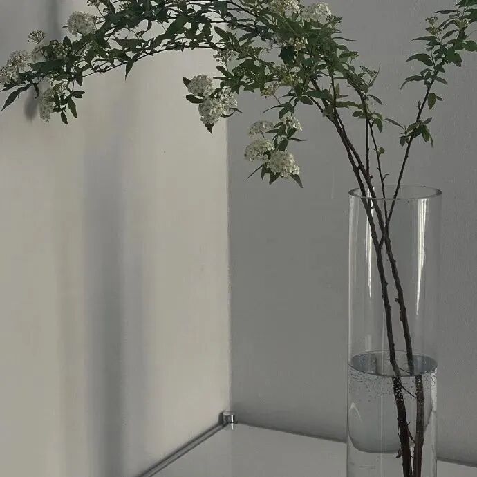 背景图 朋友圈背景 ins ins高级感 高级感背景图