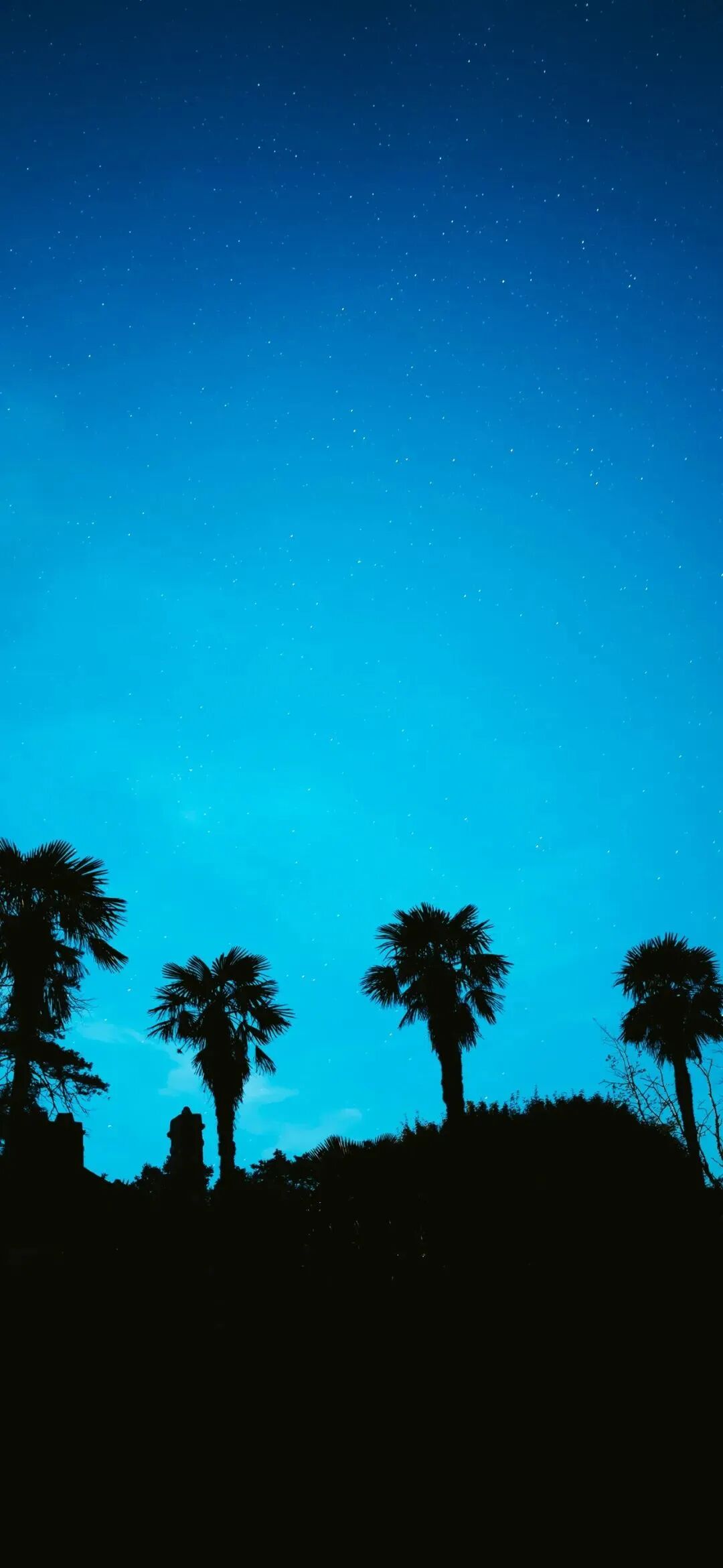 风景