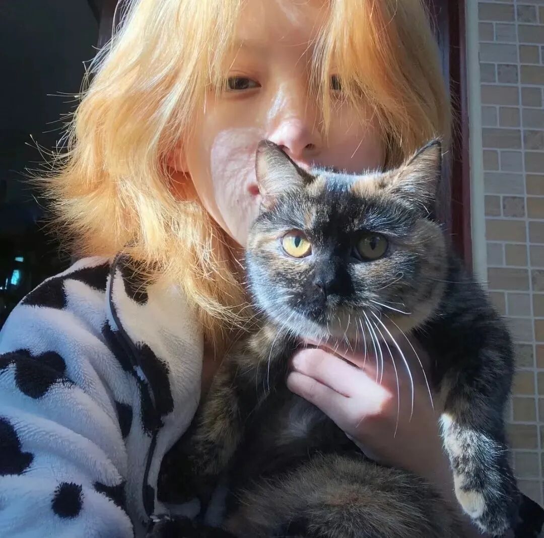 抱着猫咪小众女生头像