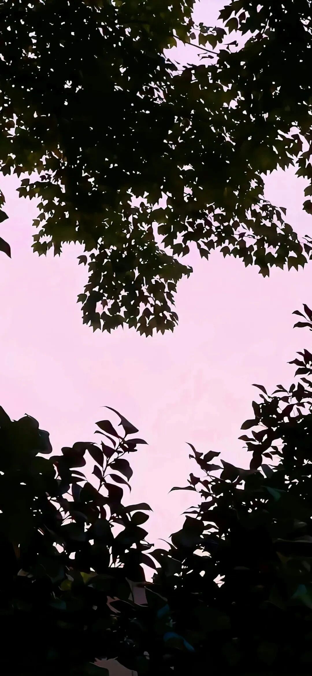 风景