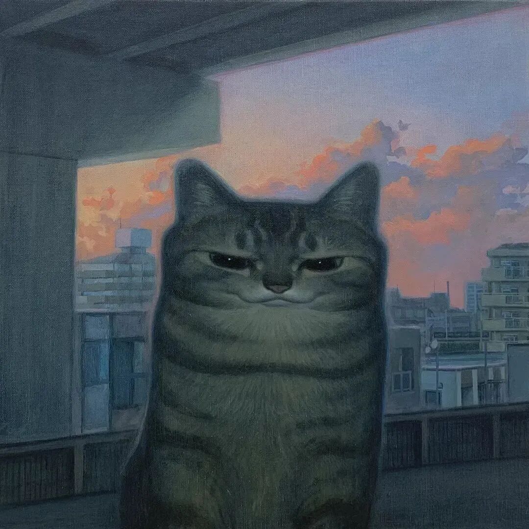 猫咪背景图