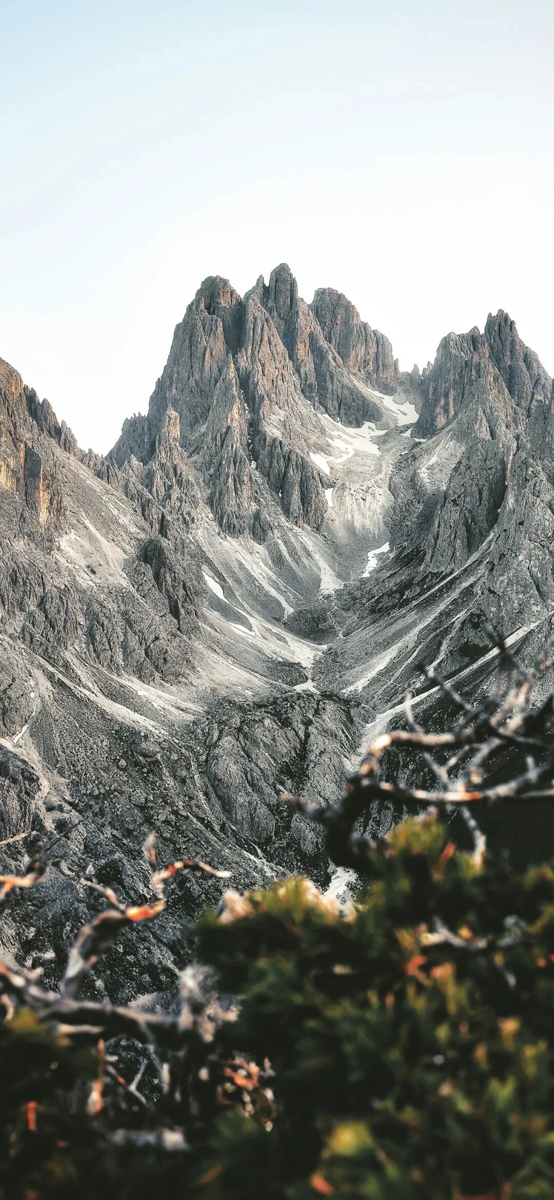 风景