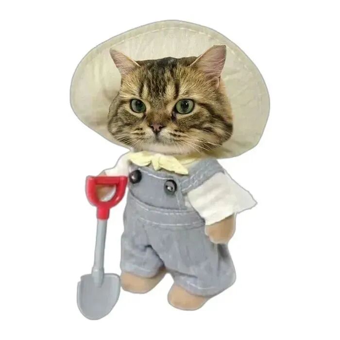 baimaodizdcwebanlv白底猫咪情侣头像