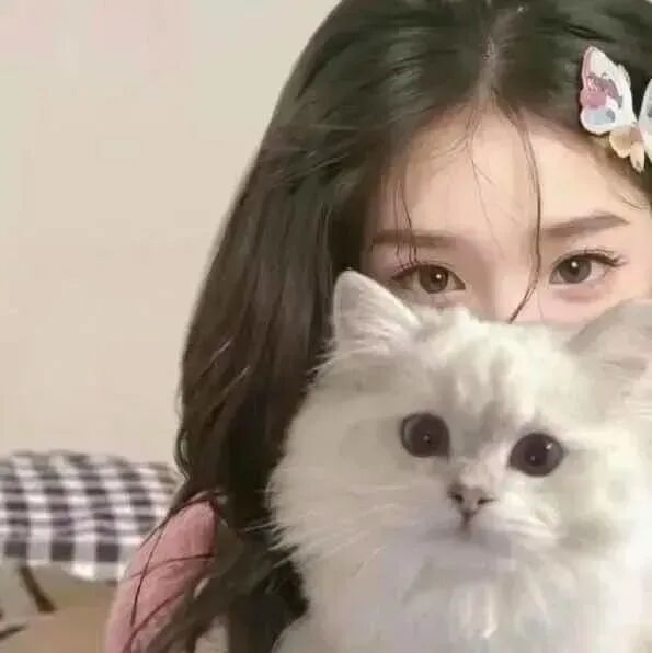 bzcatplmedcjbanlv抱着猫咪不明显真人情侣头像