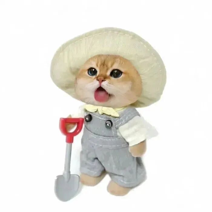 baimaodizdcwebanlv白底猫咪情侣头像