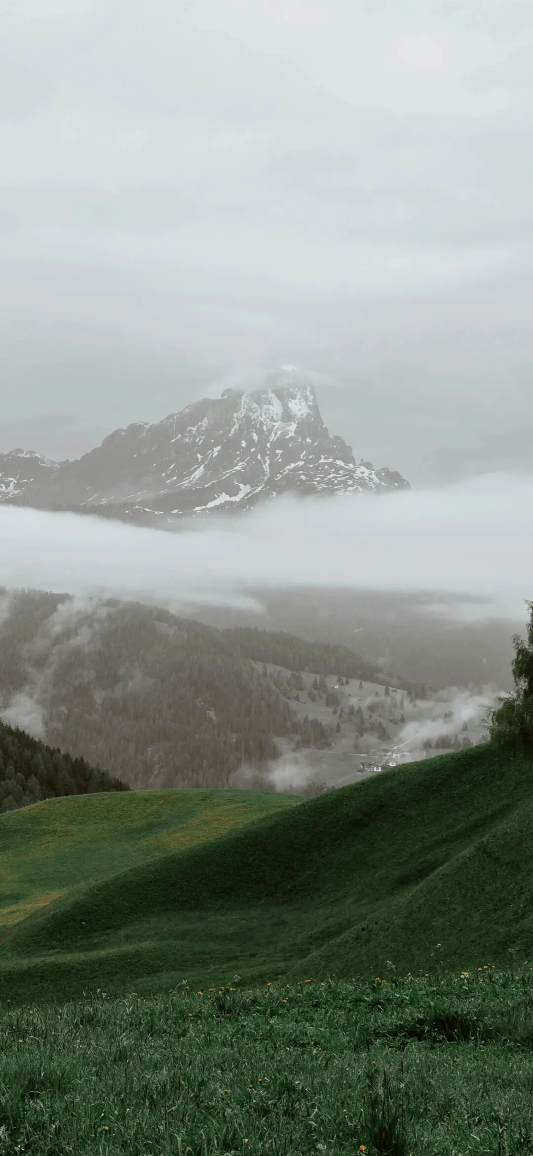 风景